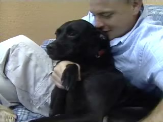 It's a dog's life, spas and pawdicures