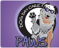 Dog Daycare, Dog Grooming and Pet Suites