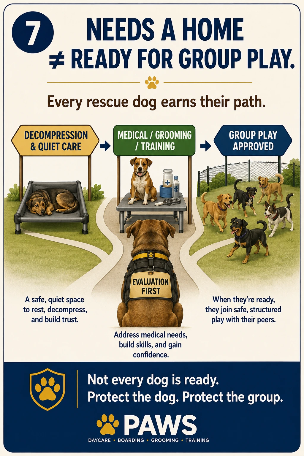 PAWS Dog Daycare rescue dog readiness image showing paths for decompression, medical and grooming care, training, and group play approval after evaluation.
