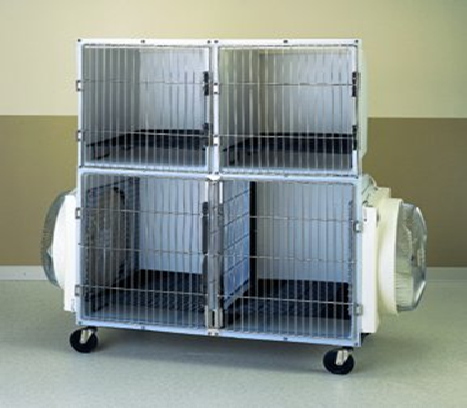 Cabinet grooming dryer example for high-volume salon drying support.