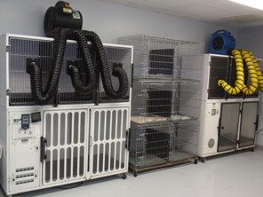 Multi-cage dryer example with hose delivery system.