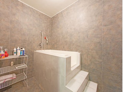 Custom built grooming tub and bathing station design example for a dog grooming room.