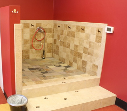 Custom grooming tub design example for a professional dog grooming room.