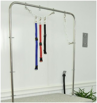 LIPSystem grooming restraint setup with front and rear support points around a dog on a grooming table.
