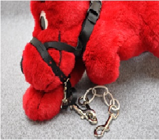 Lower restraint connection on the LIPSystem showing how the system controls dog position on the grooming table.