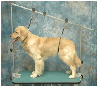 Flexi-Restraint System with an angled overhead bar and side restraint positioning.