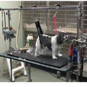 Flexi-Restraint System showing an overhead grooming restraint bar with adjustable restraint points.