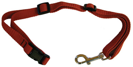 Quick release grooming noose used for safer removal around muzzled dogs, fear biters, and grooming table restraint.