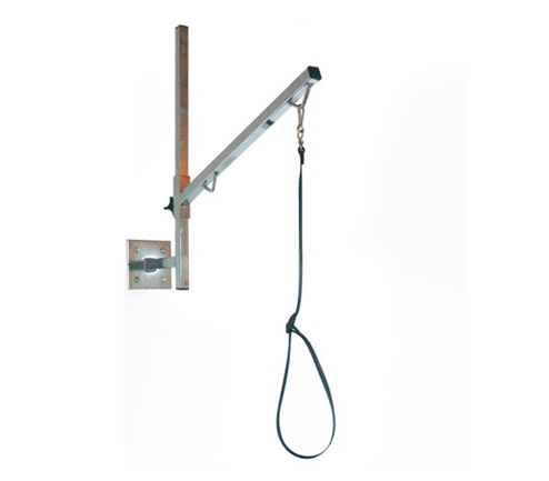 Wall-mounted grooming arm attached to a wall for restraining a dog at a grooming or drying station.