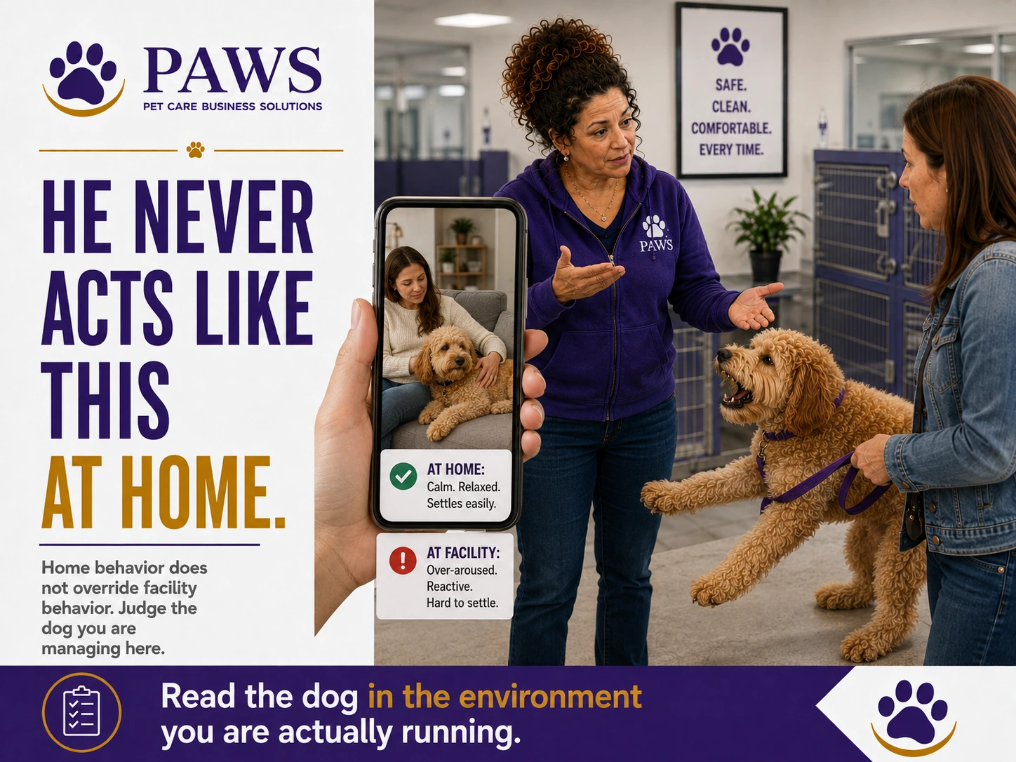Customer holds a reactive doodle on leash while a phone screen shows the dog calm at home and PAWS staff explain facility behavior at the counter.