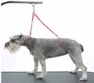 Grooming Harness Dog Restraint Grooming Table