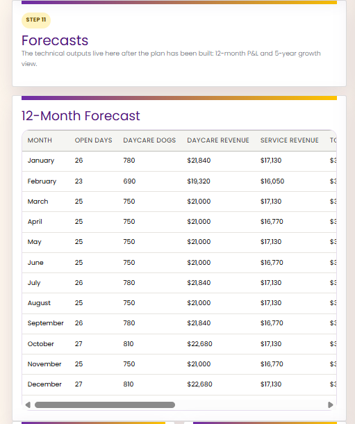 12-month forecast output
