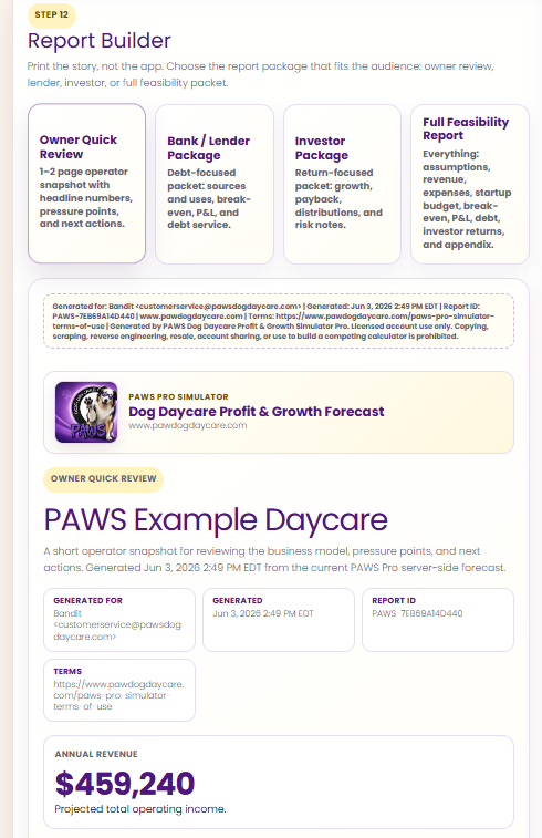 Report builder and report output
