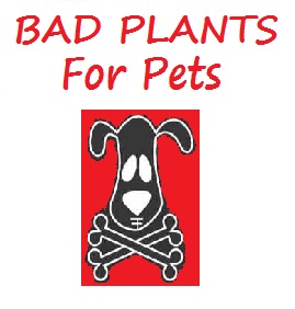 Poison Plants For Pet Symbol