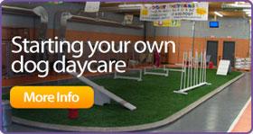Starting Your Own Dog Daycare