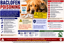 Baclofen tablets and prescription medication packaging beside a warning that overdose can cause coma and respiratory failure in pets.