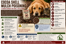 Cocoa shell mulch made from cacao bean hulls beside a warning that theobromine and caffeine can poison dogs and other pets.
